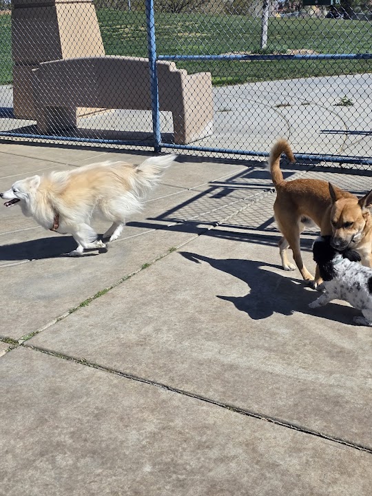 Kellogg Zaher Dog Park