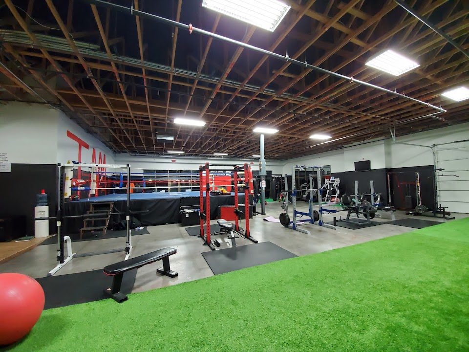 3D Boxing And Fitness