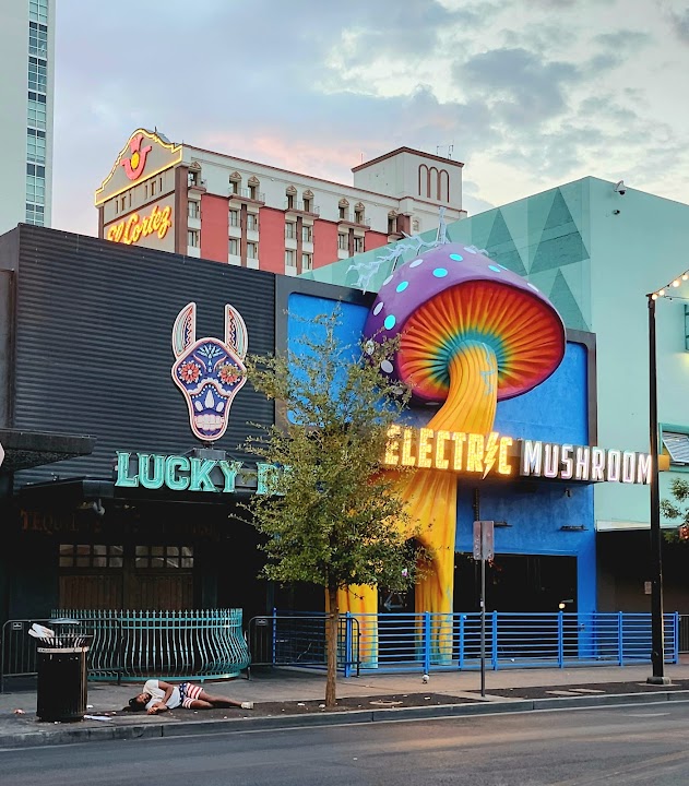 Electric Mushroom