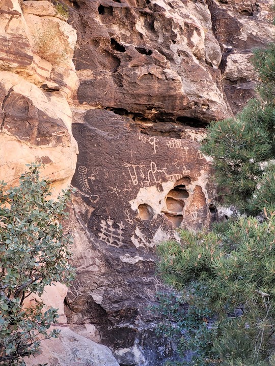 Petroglyph Wall