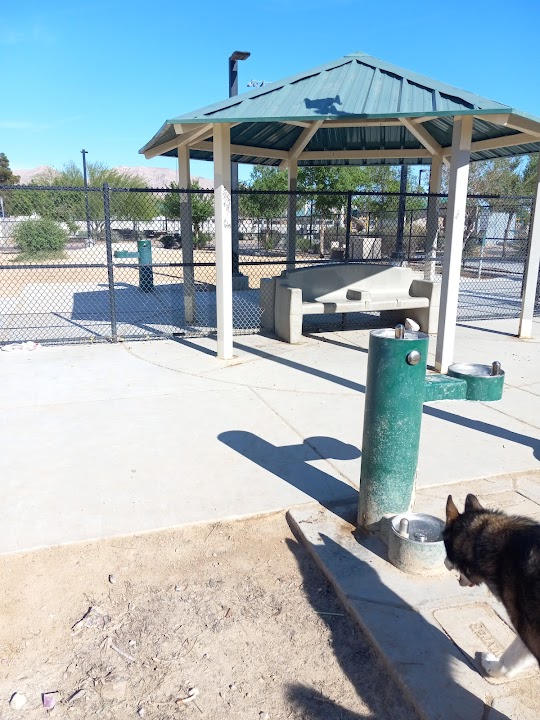 Dog Park