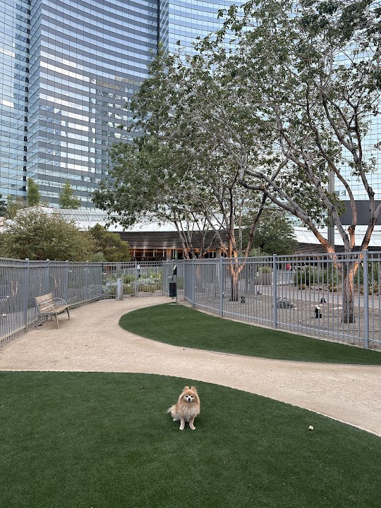 Vdara Dog Park