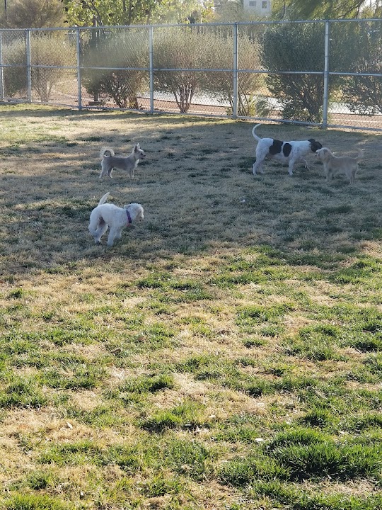 Clark County Dog Park at Spring Valley Community Park