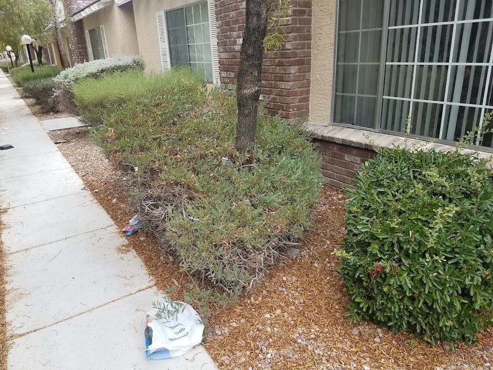 Spring Valley Highlands