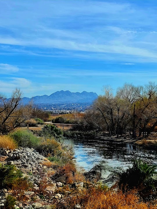 Wetlands Park