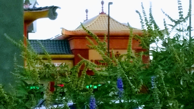 Chinatown Vegas