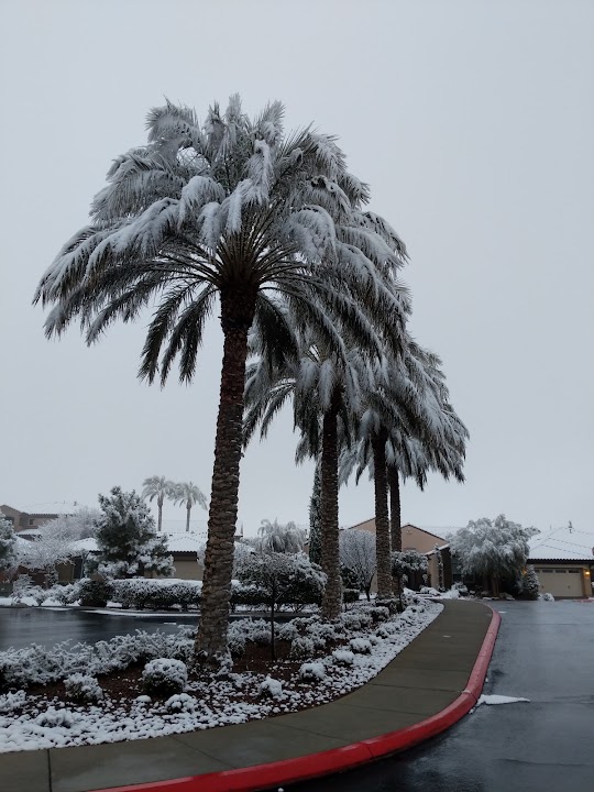 The Club at Madeira Canyon by Del Webb