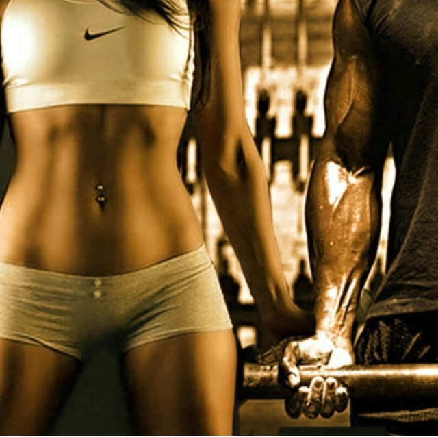 Muscle Fitness