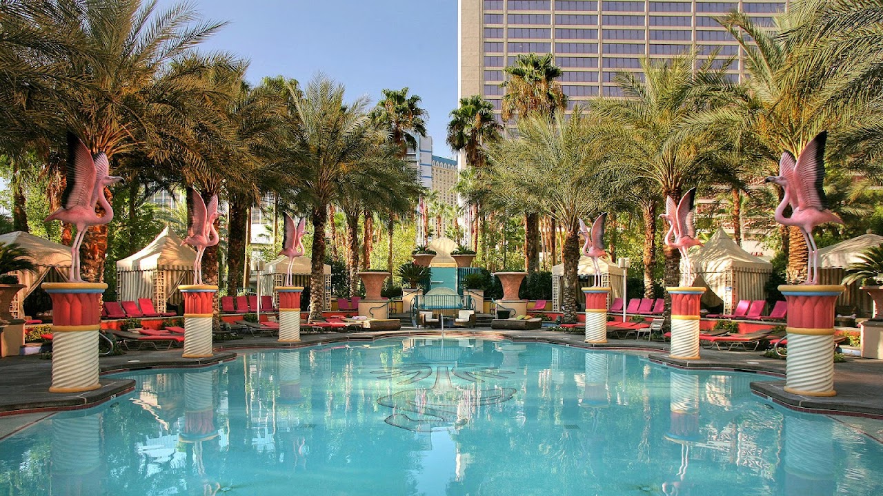 Flamingo Family Pool