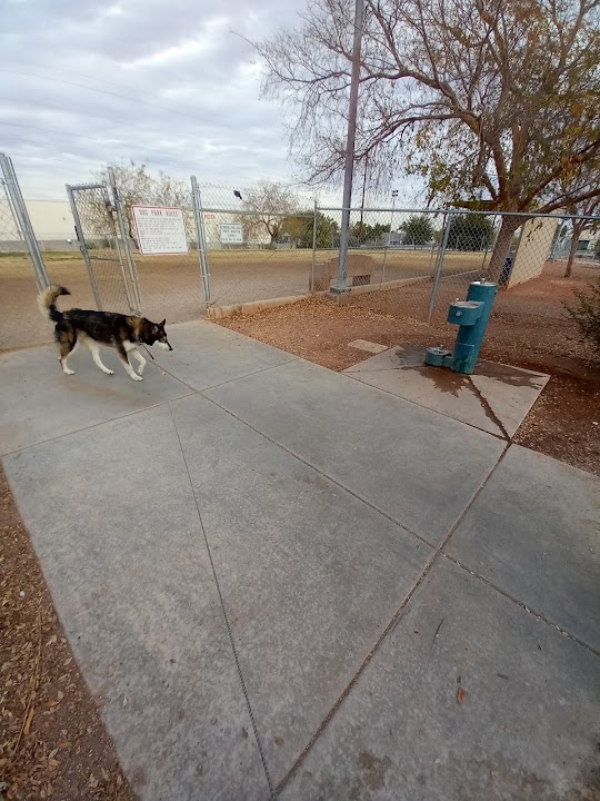 Dog park